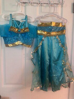 Princess Jasmine Costume